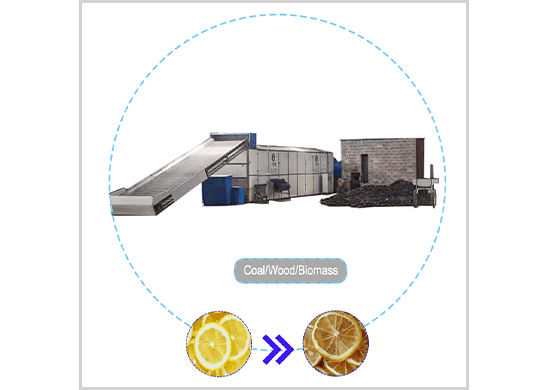 Lemon Peel drying machine